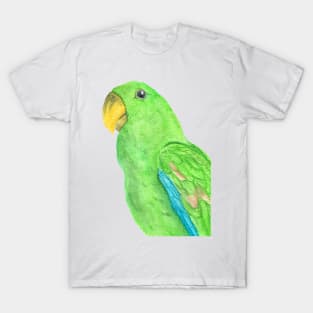 Green watercolor eclectus parrot - bird painting portrait T-Shirt